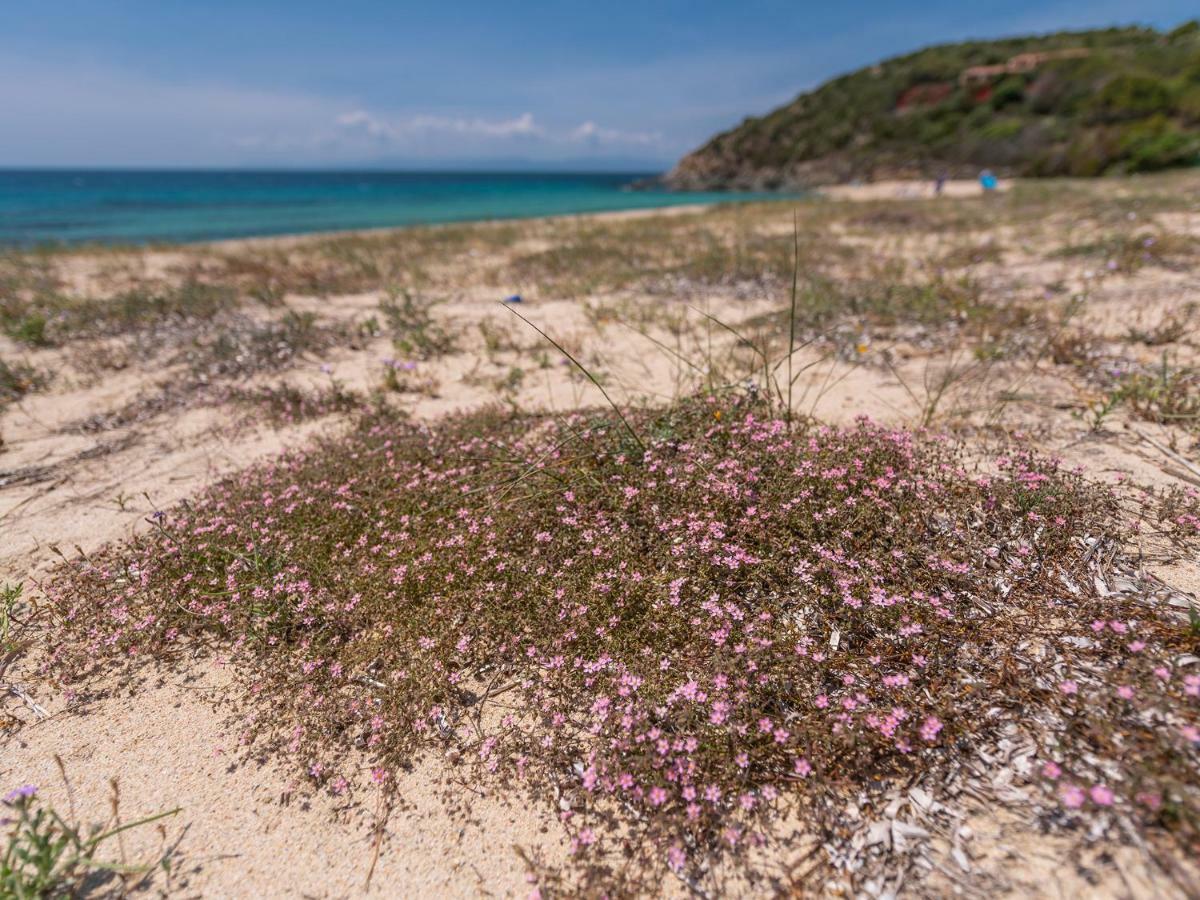 Sardinia Spa Apartment Джеремеас Экстерьер фото
